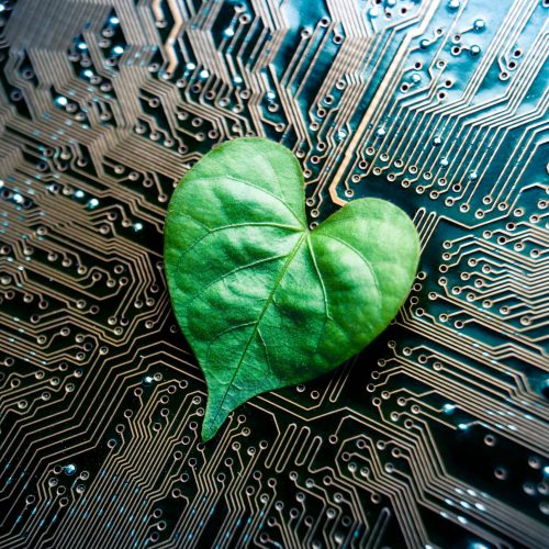 A,Green,Leaf,With,A,Heart,Shape,On,A,Computer